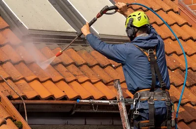Démoussage et hydrofuge de toiture à Chalaines